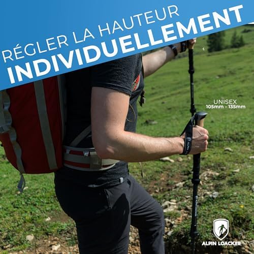 Vue 3 de Alpin Loacker Baton De