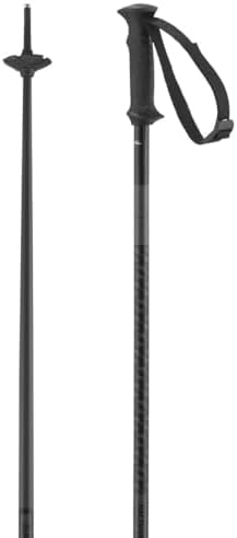 Vue 2 de Salomon Polar Access Alpine