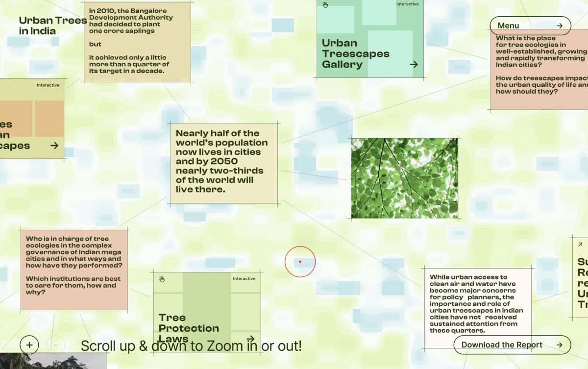 Urban Trees in India — the zoomable canvas of cards