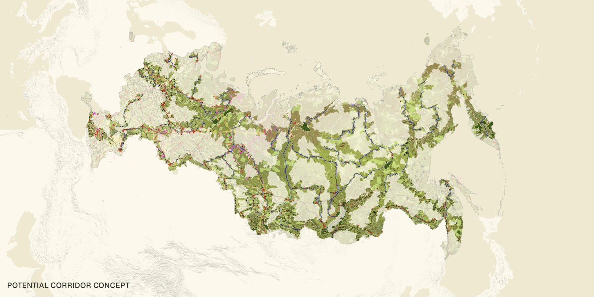 Veha — potential corridor concept across Russia