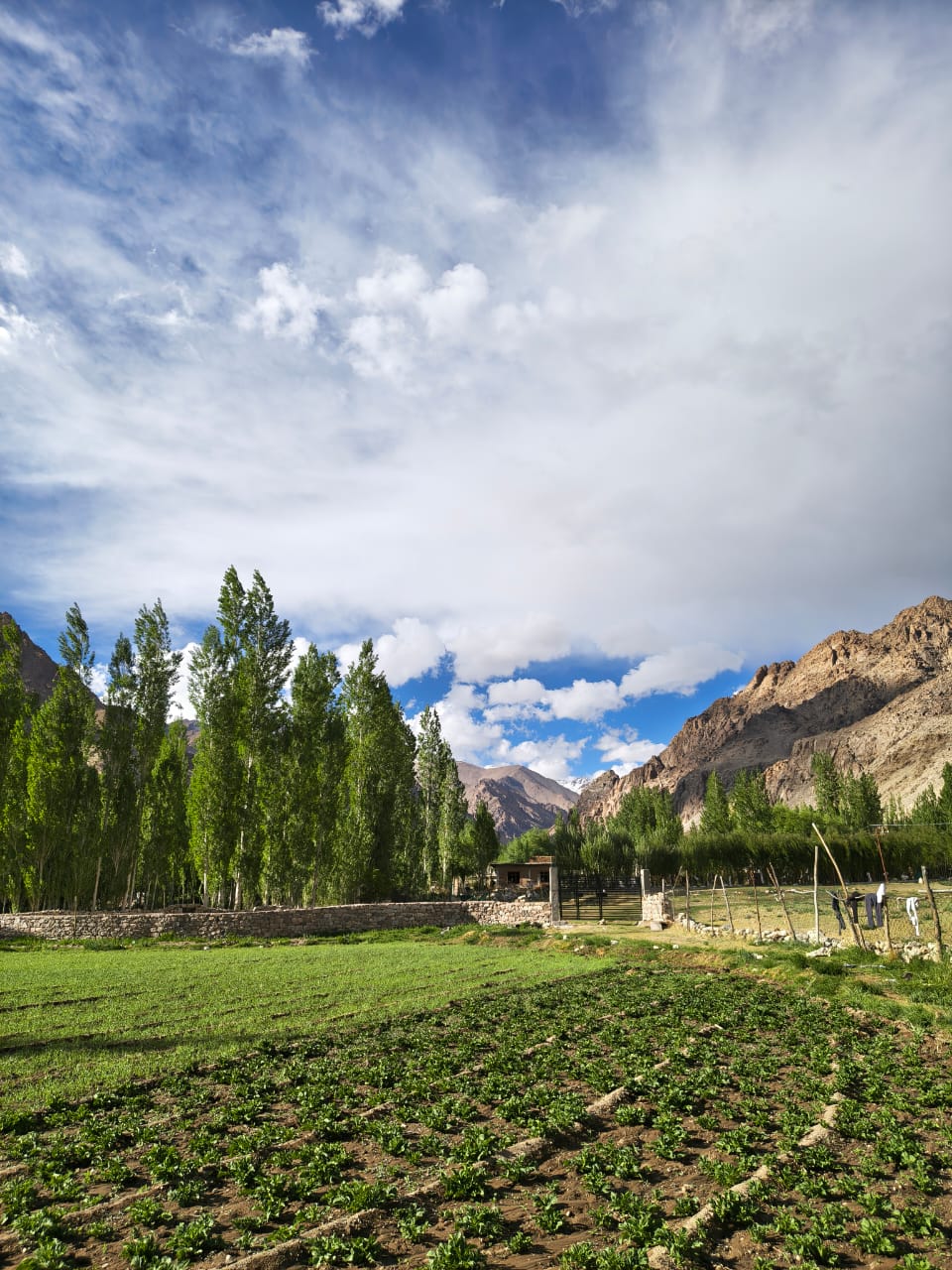 Beyond Leh: Exploring Kargil, Nubra Valley, and the Iconic Rancho School