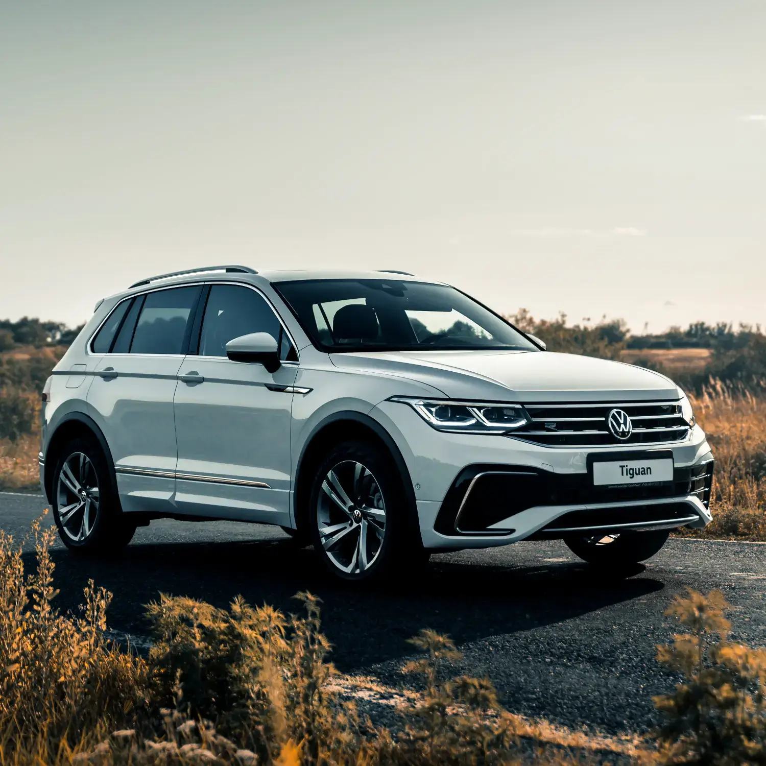 Name development of the SUV name TIGUAN for Volkswagen