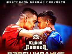 В Элисте пройдет фестиваль боевых искусств "Кубок Лотоса"