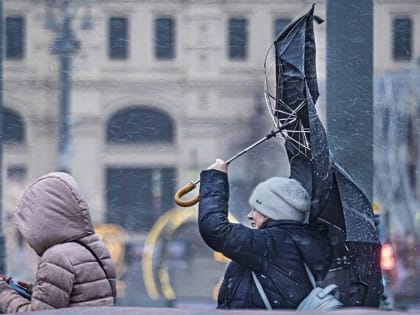 В Калмыкии прогнозируют сильный ветер