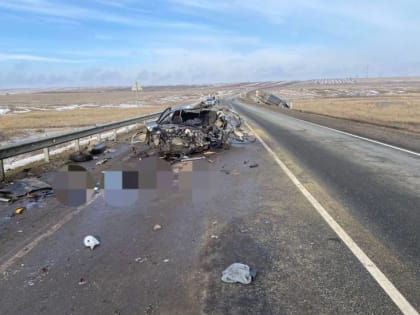 В Калмыкии возбудили уголовное дело после смертельного ДТП