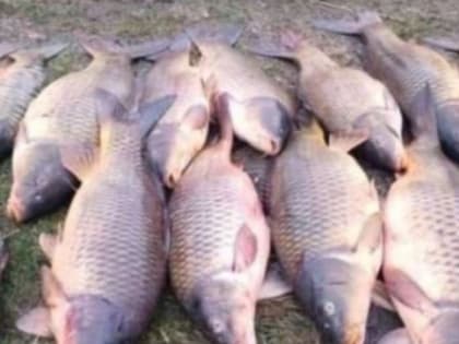 Житель Калмыкии выплатит штраф за браконьерство