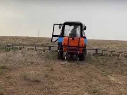 В Калмыкии продолжают борьбу с саранчой