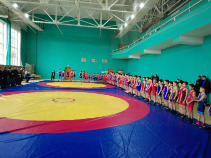 Профориентационные встречи на открытом городском турнире по спортивной борьбе