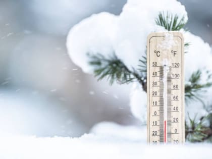 По данным Калмыцкого Центра гидрометеорологии и мониторингу окружающей среды, в ближайшие 3 дня на территории региона ожидаются заморозки от минус 2 до минус 7 градусов