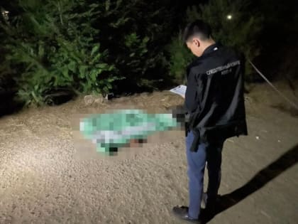 В Элисте на основании обвинительного вердикта коллегии присяжных заседателей местному жителю вынесен приговор за совершение убийства и покушение на убийство двоих мужчин