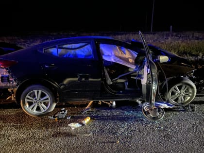 В Калмыкии за ночь в ДТП погибли два человека