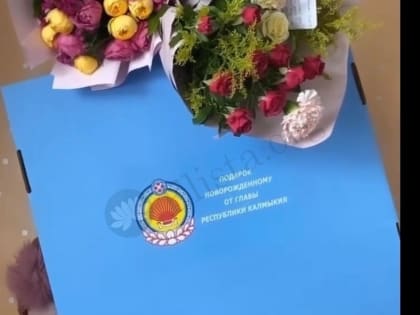 С начала года в Калмыкии родился 231 ребенок