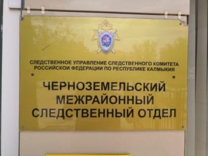 В Калмыкии в отношении судебного пристава-исполнителя возбудили уголовное дело