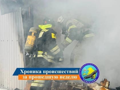 Хроника происшествий за прошедшую неделю и праздничные выходные (13.06.2023г)