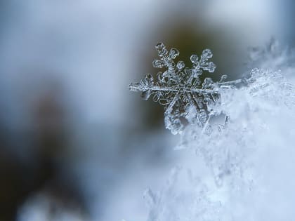 В Калмыкии ожидаются заморозки