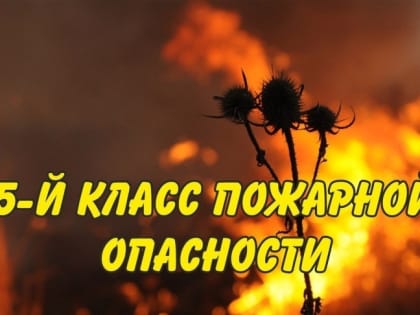 В Калмыкии объявили штормовое предупреждение по чрезвычайной пожарной опасности