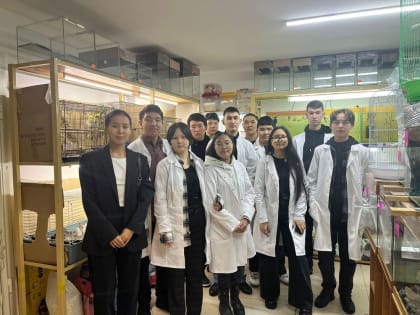 Обследование животных в зоомагазине