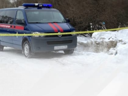 Следком предупреждает об опасности для граждан из-за схода снега и льда с крыш зданий