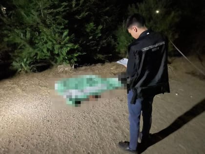 Житель Калмыкии ответит за убийство и покушение на еще двоих человек