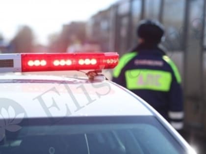 Задержан житель Приютненского района, управлявший автомобилем в состоянии алкогольного опьянения