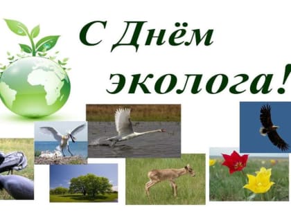 Сегодня профессиональный праздник экологов!