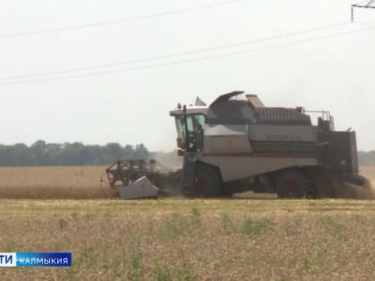 Уборка урожая — ответственный этап сельскохозяйственных работ. Важно не просто своевременно его убрать, но и сберечь