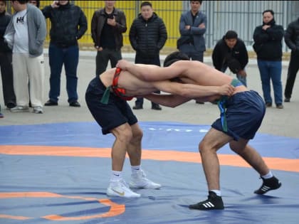 В Калмыкии провели турнир по национальной борьбе
