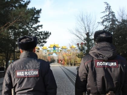 В Элисте раскрыт уличный грабёж