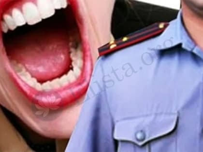 В Элисте женщина, не пожелавшая оплатить счет в кафе, оскорбила полицейского