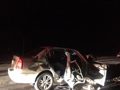 В Калмыкии сотрудники полиции устанавливают обстоятельства ДТП со смертельным исходом