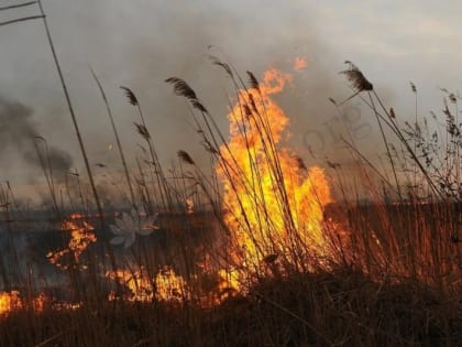 5 и 6 августа в Юстинском районе Калмыкии ожидается чрезвычайная пожароопасность 5 класса