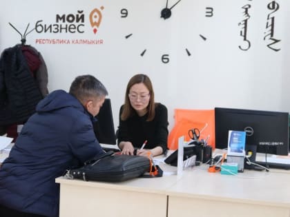 В Калмыкии поддержку центра «Мой бизнес» получили около тысячи человек
