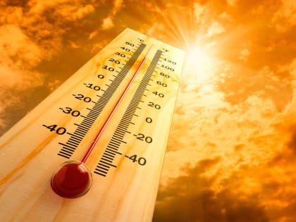 Жара в Калмыкии поднимется до +42°C