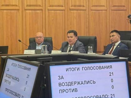 Депутаты Калмыкии утвердили вице-премьеров регионального правительства