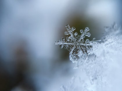 МЧС Калмыкии объявило штормовое предупреждение в регионе