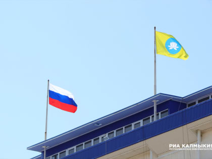 Гарантийный фонд Калмыкии получит почти 800 миллионов рублей на поддержку бизнеса