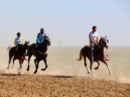 11 июня в честь священного месяца Үрс сар, на территории Элистинского ипподрома состоятся традиционные богатырские состязания «Эрин һурвн наадн»