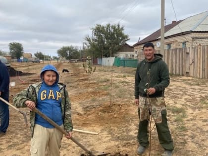 В поселке Калмыкии возрождают сад