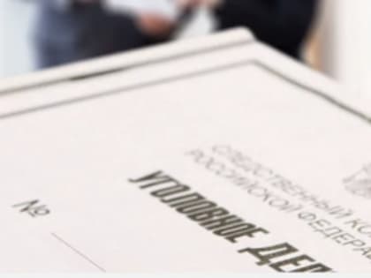 Местный житель предстанет перед судом за причинение тяжкого вреда здоровью родному брату, повлекшее его смерть