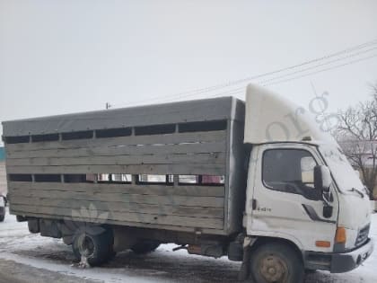 Элистинец задержан за угон грузовика