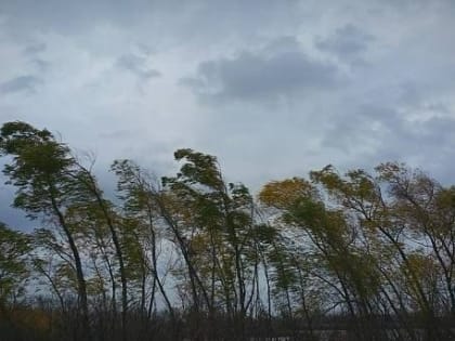 МЧС России по РК информирует о том, что по данным регионального гидрометцентра, 14 января в Республике Калмыкия ожидается усиление восточного ветра с порывами до 20 м/с