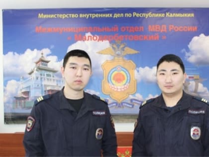 Сотрудниками полиции раскрыта серия краж, совершенная на территории Малодербетовского района