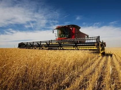 Более 2100 жителей Калмыкии получают повышенную пенсию за работу в сельском хозяйстве