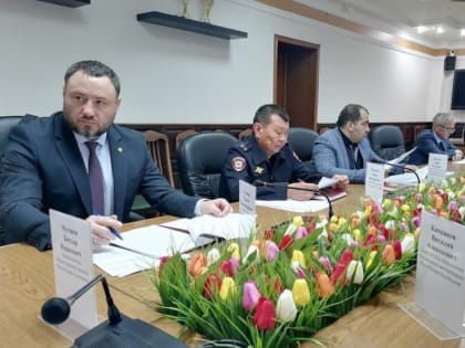 В Элисте обсудили судьбу бездомных животных