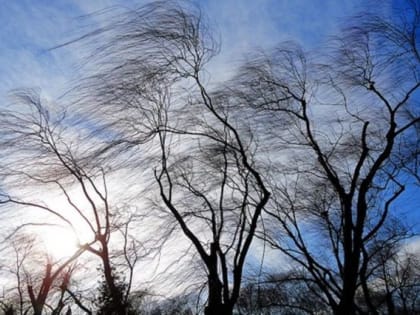 В Калмыкии усилится ветер