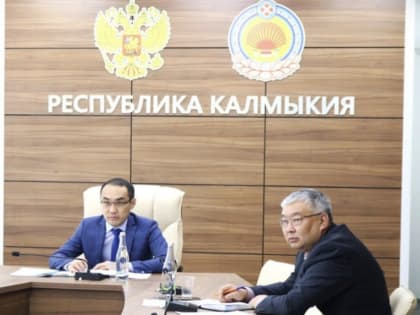 Калмыкия среди лидеров в сфере малого и среднего предпринимательства