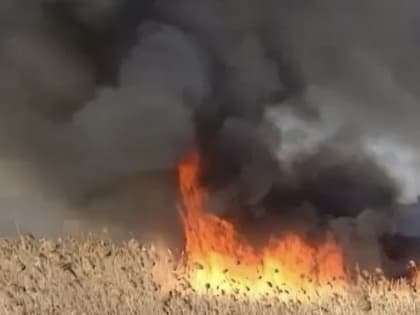 МЧС Калмыкии информирует в Астраханской области продолжается горение камыша