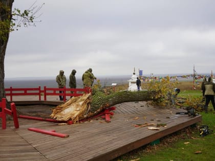 В результате сильной ветровой нагрузки произошел слом еще одной стволовой ветви Одинокого тополя