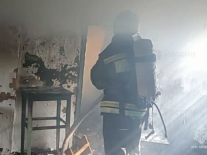 В Яшалтинском районе произошел пожар