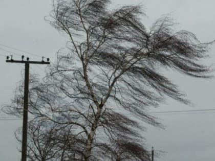 В Калмыкии продолжает бушевать восточный ветер